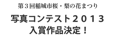 第3回稲城市桜・梨の花まつり写真コンテスト2013入賞作品決定！