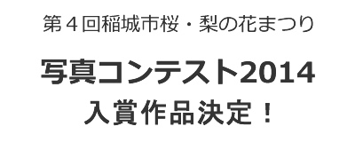 第4回稲城市桜・梨の花まつり写真コンテスト2014入賞作品決定！