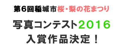 第5回稲城市桜・梨の花まつり写真コンテスト2015入賞作品決定！